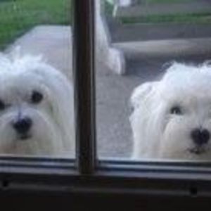 Meet your Posher, Scott